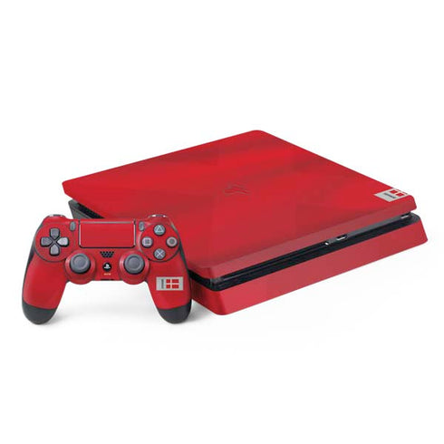 Denmark Soccer Flag PlayStation PS4 Skins